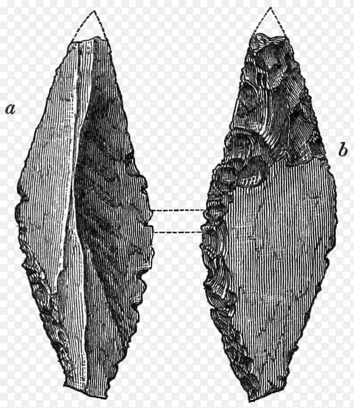 Ҷ�Գ�-������