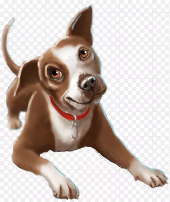 Ȯ��С����Ȯ����-С��-������