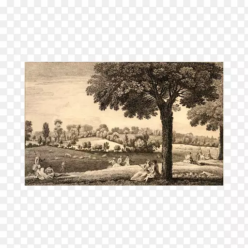 ��Ӱ������-������