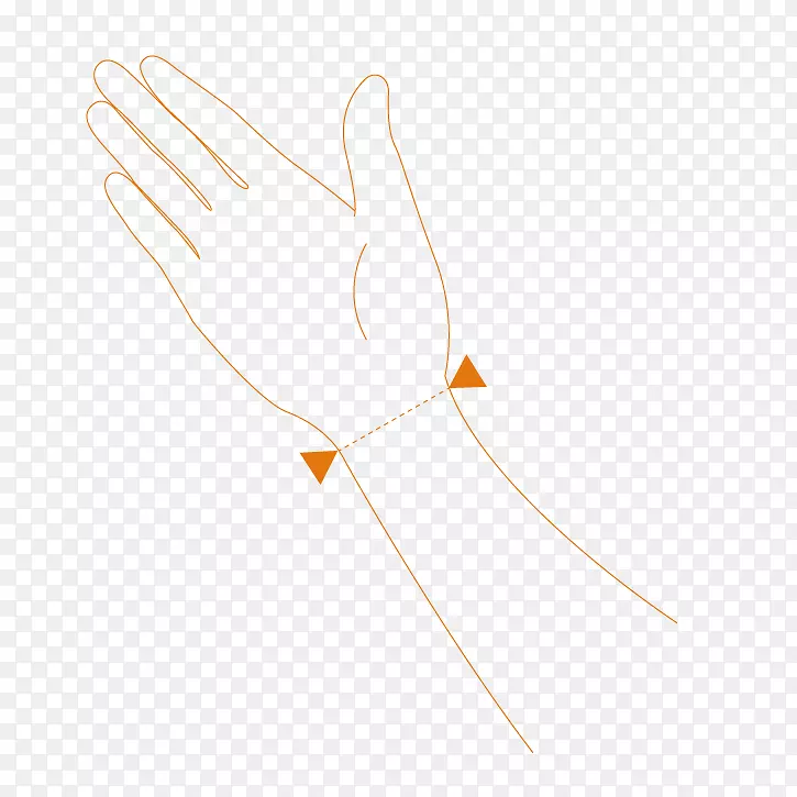 ��ָ��ë����-������