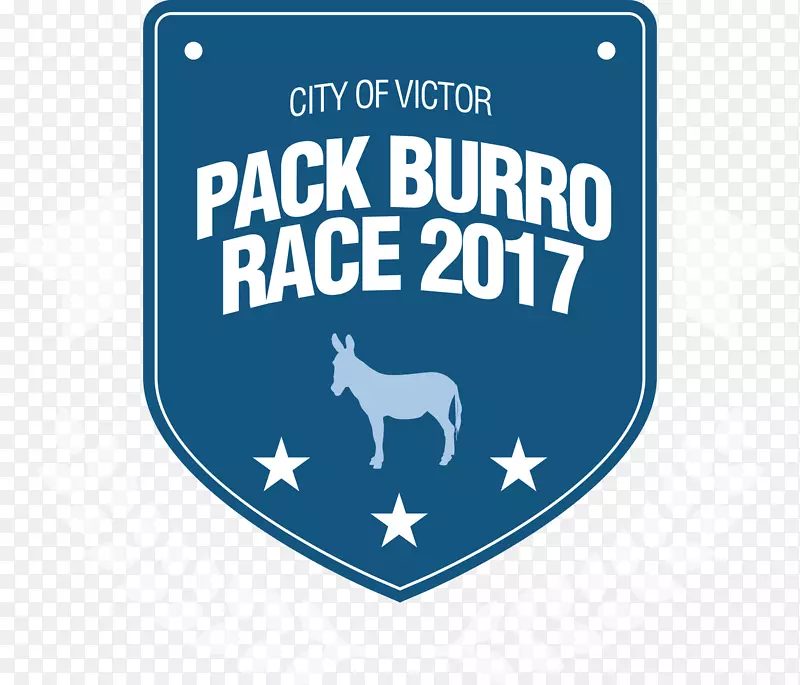 �̱�����-����-������