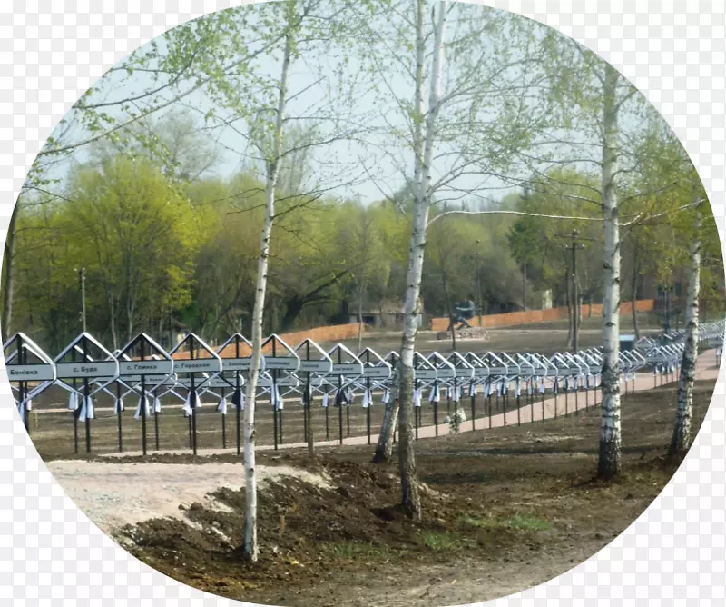 ����-��-������