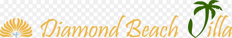 �����ֽ������Ʒ���������-������