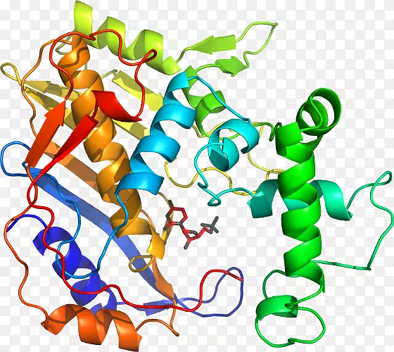 �����߶����������-������