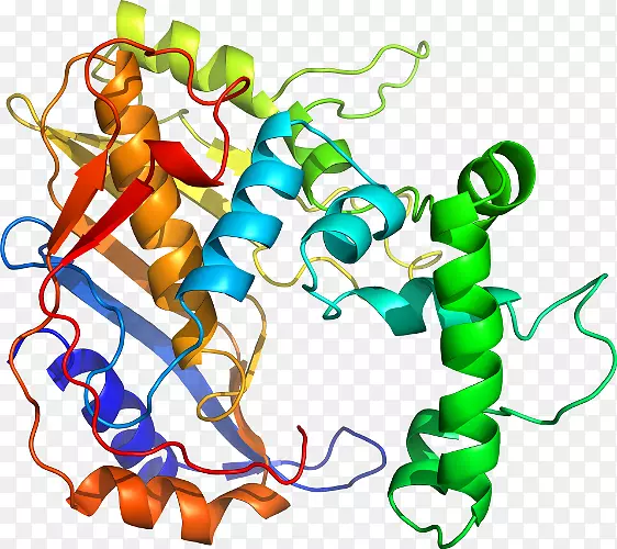 �����߶����������-������