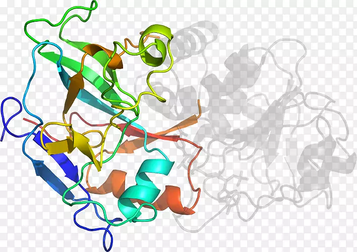 �ߵ�����������-������