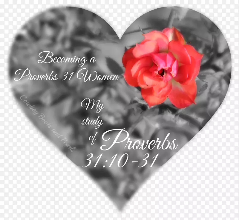 ��԰õ�廨�갮��õ��-������