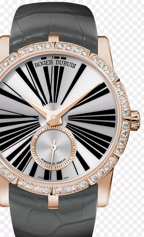 �޽ܶű�˹�Զ���Ѳ�ر���ʱ��-������