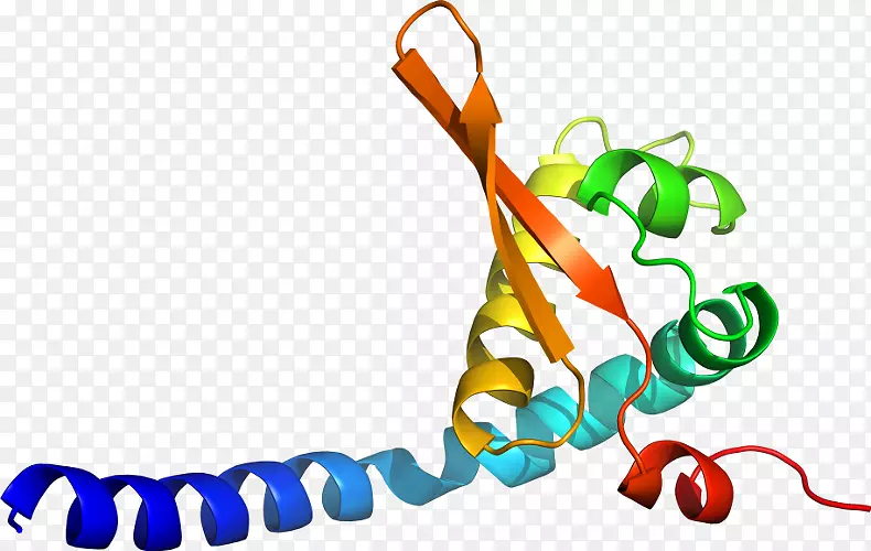 ���������л����߼�������-������