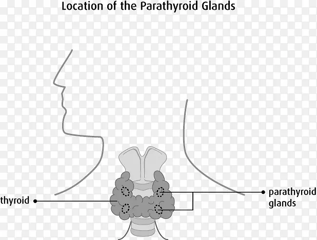 ��״�����ڷ����ټ�״�ټ������ڷ���ϵͳ-������