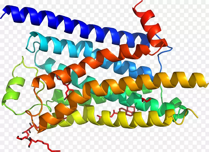 �����߶����������-������