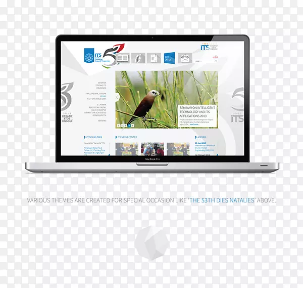 ��ʾ�豸��ý�����.���-������