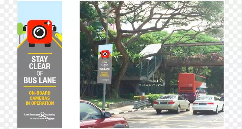 չʾ���Ʒ����-������