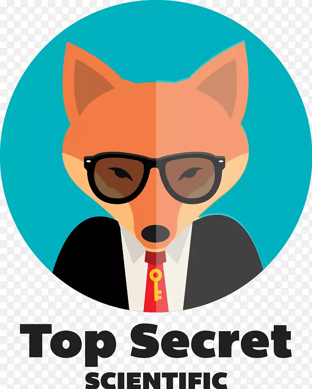 Ŀ�ĵ�����ƽ����ƣ����ӣ�������-����-������