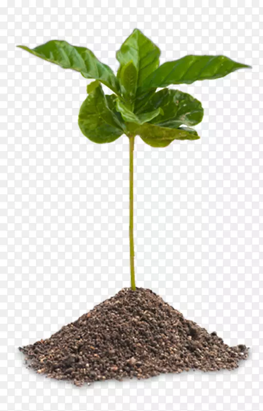 ������������Ӱ�����������ȿ����ȹ���-������