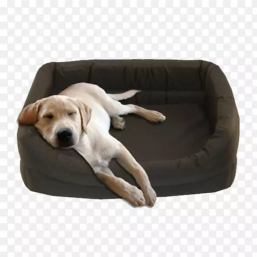 ����ֳС��ͬ�鹷���ӹ�����-������