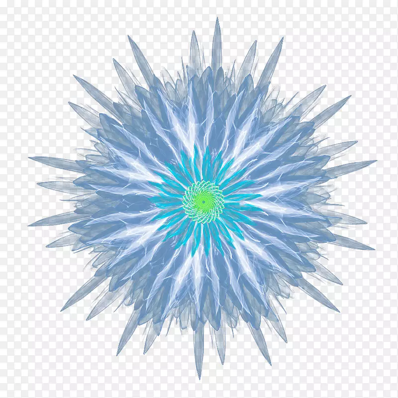 ���⻨-�����ɫ������-������