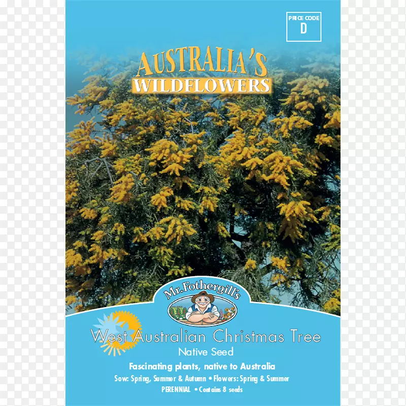 ��ľ��̬ϵͳ-�ҽ���-������