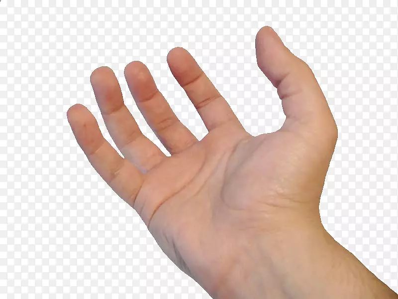 Ĵָ����ָ��-������