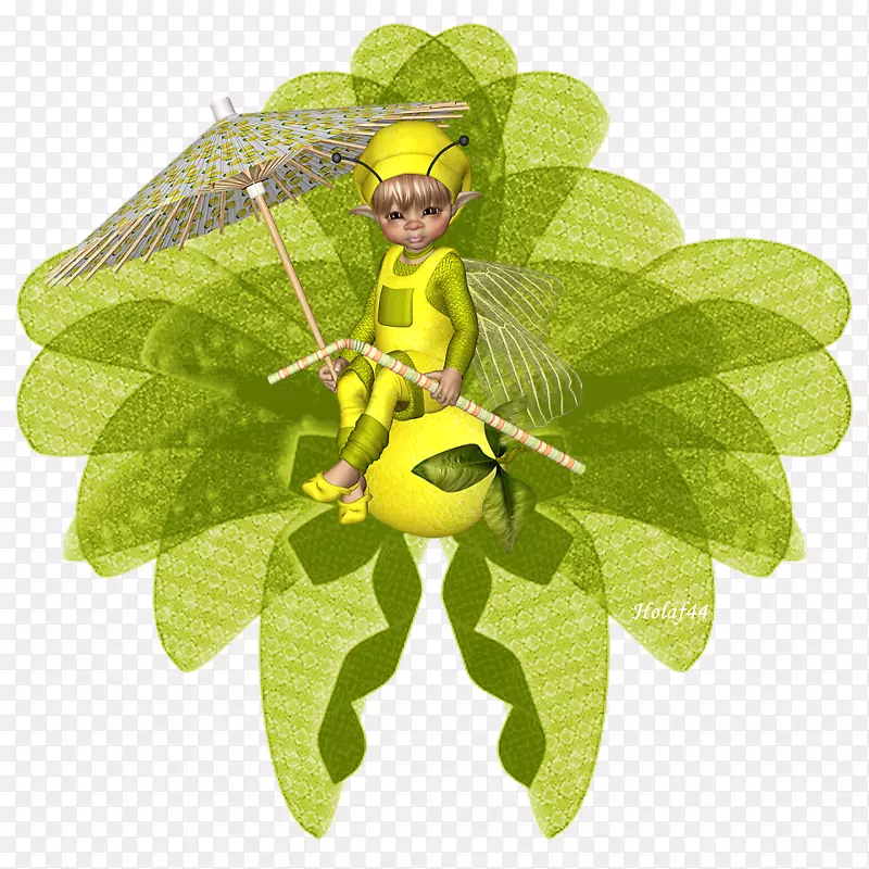 ����Ҷ������-������