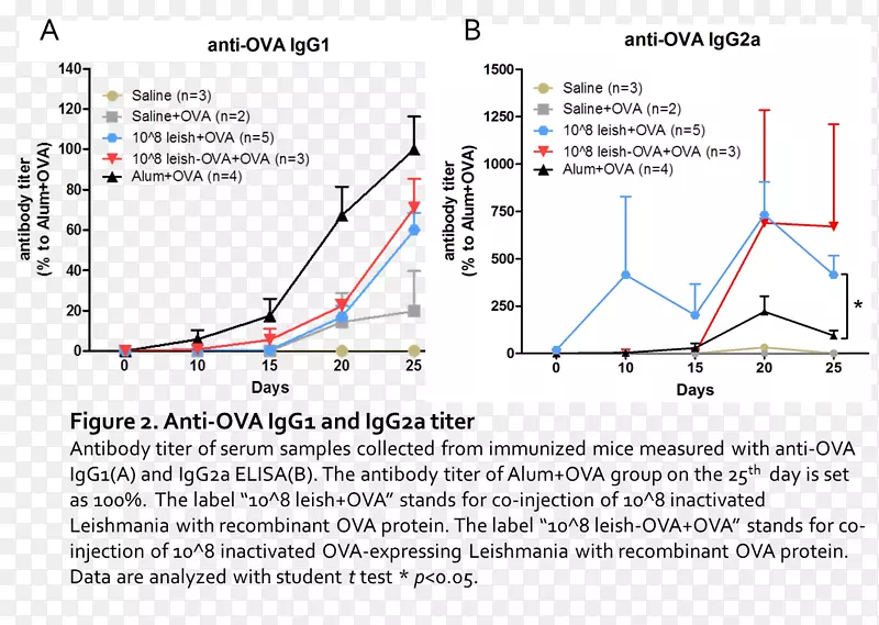 ֱ�ߵ����-������