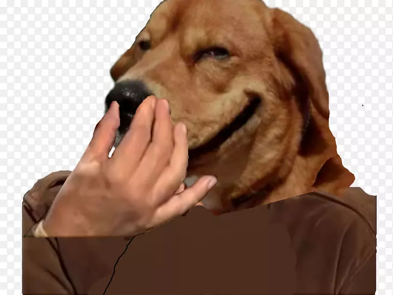 Ȯ��С����Ȯ����-С��-������