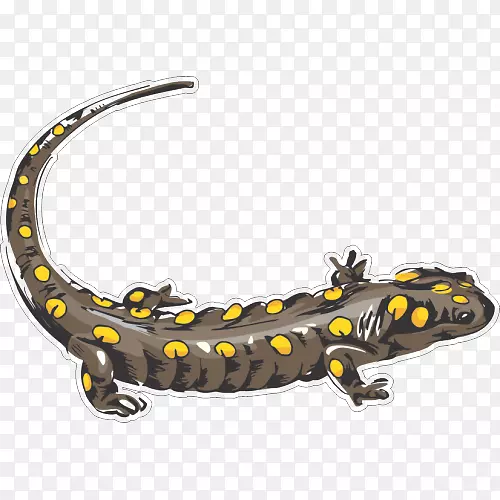 Ŧ�ر��ո���ֽ����ճ�Ӽ�-����-������