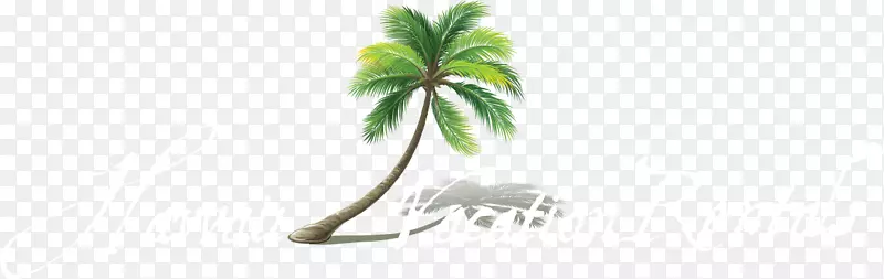 ����˾��ñ����Ҷֲ�ﾥ-������֮��-������