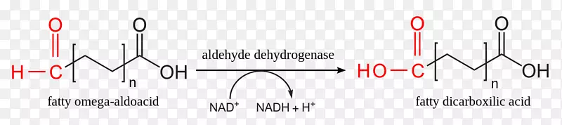 ��־Ʒ����-���-������