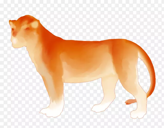 ʨ�Ӵ�è����Ұ������-��ʨ-������