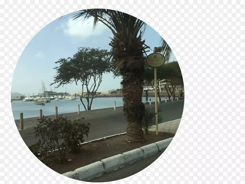 ������-��-������