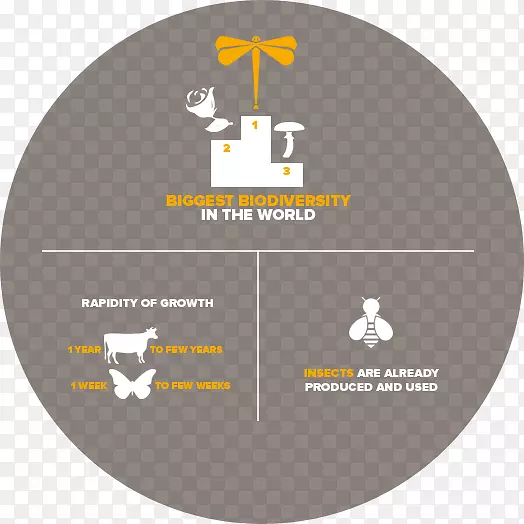 ������ֳҵ-����-������