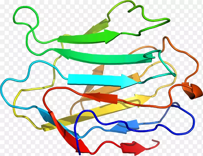 �ߵ������������-������