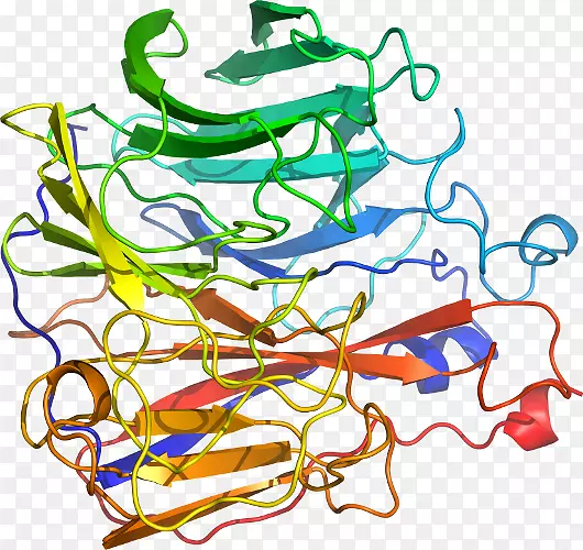 �ߵ������������-������