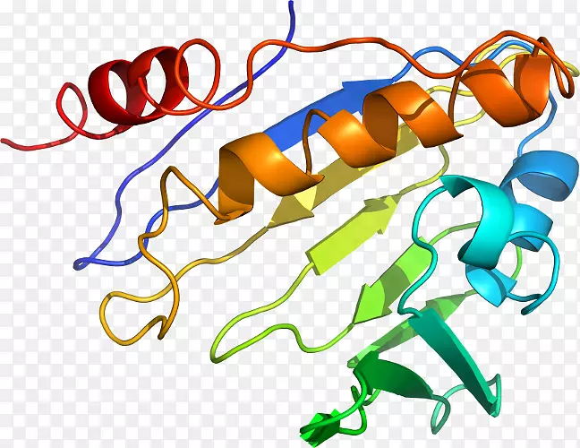 �ߵ������-��-������