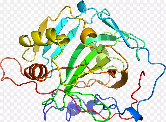 �ߵ������������-������