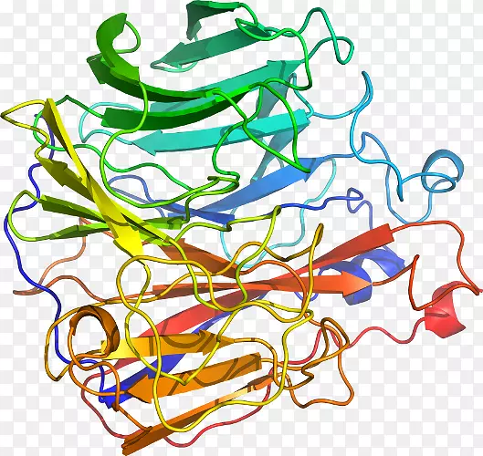 �ߵ������������-������