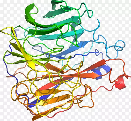 �ߵ������������-������