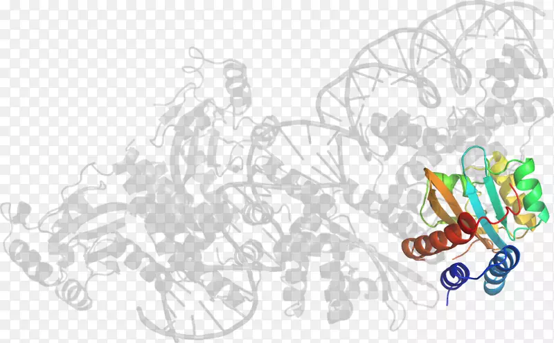 ���������-������