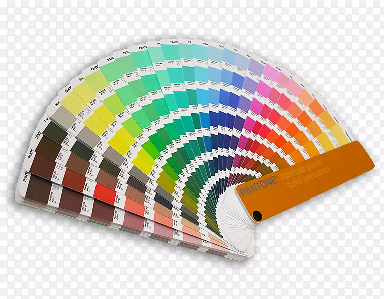 ������-�����ᴫ������-������