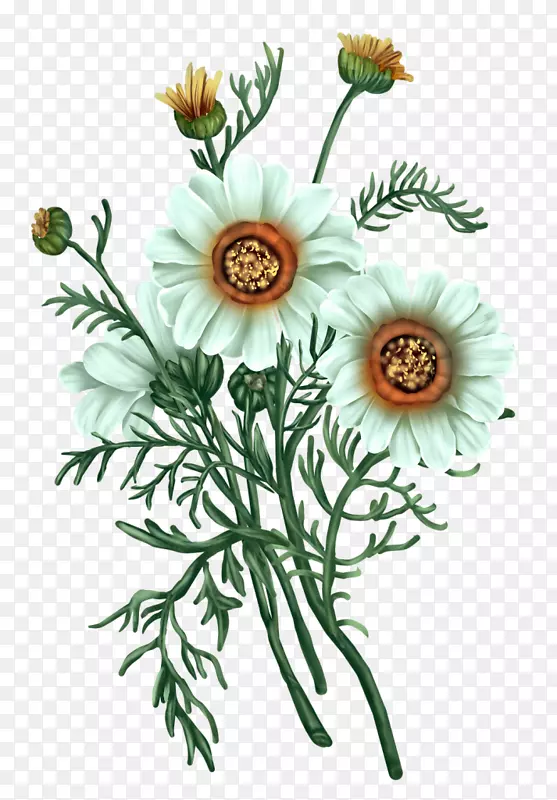 ���ܲ��ͽ̳̻������-����-������