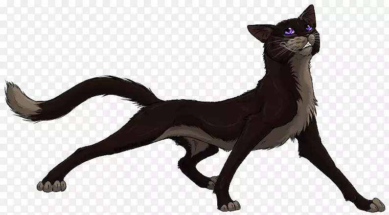 ���룬è������Ұ������-è-������