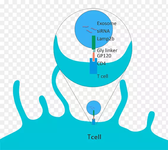 ������Ϊˮ������-ˮ-������