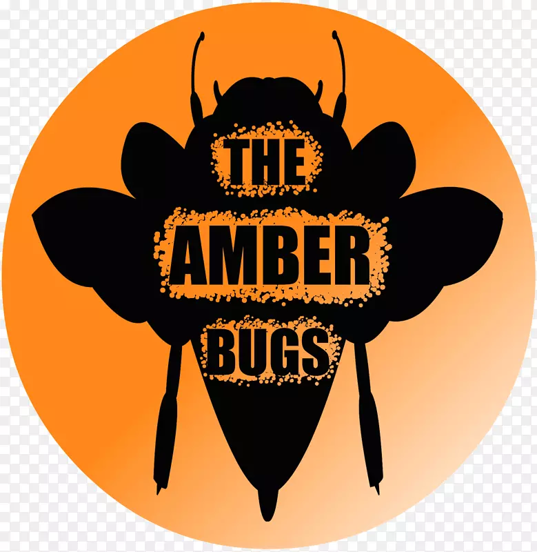 �����̱�����-����-������