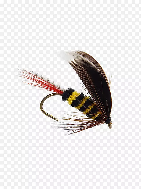 �����Ӭ�ȼ׶���Ӭ-����-������