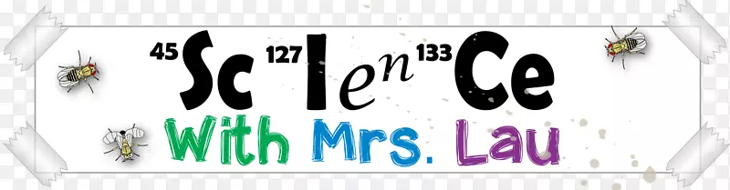 �̱�����-��ѧ��ʦ-������