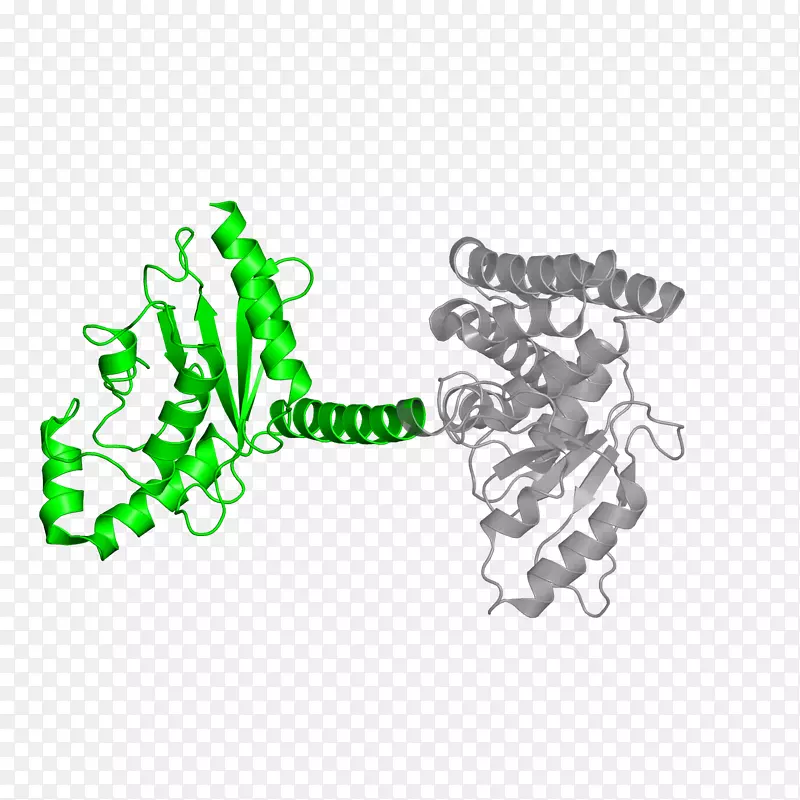 ��־����ɫƷ����-������