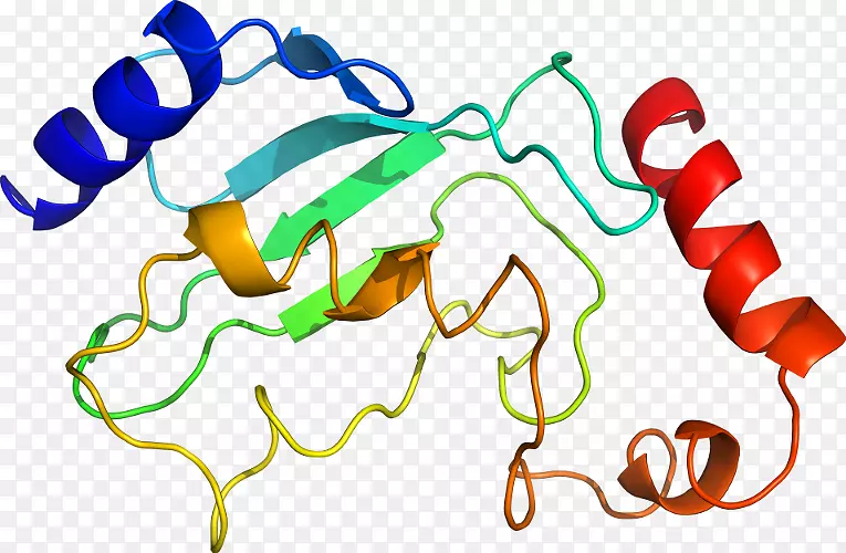 �ߵ������������-������