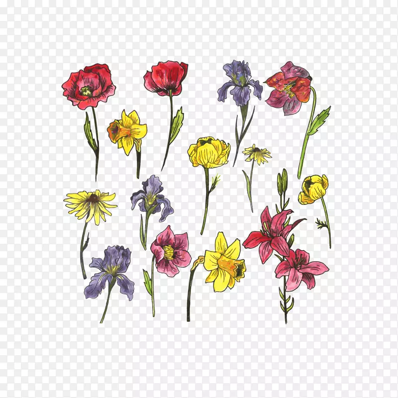 ˮ�ʻ�����������-������