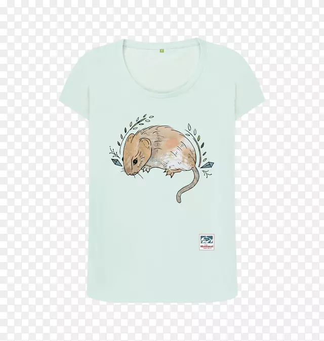 t���侱����t��-������